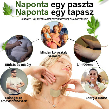 🌱[Hivatalos] ☘️cvreoz Bee🐝 Nyirokméreg Detox karcsúsító nyaktapasz (👩‍⚕️Minden nyirokproblémára, pajzsmirigyre és elhízásra)