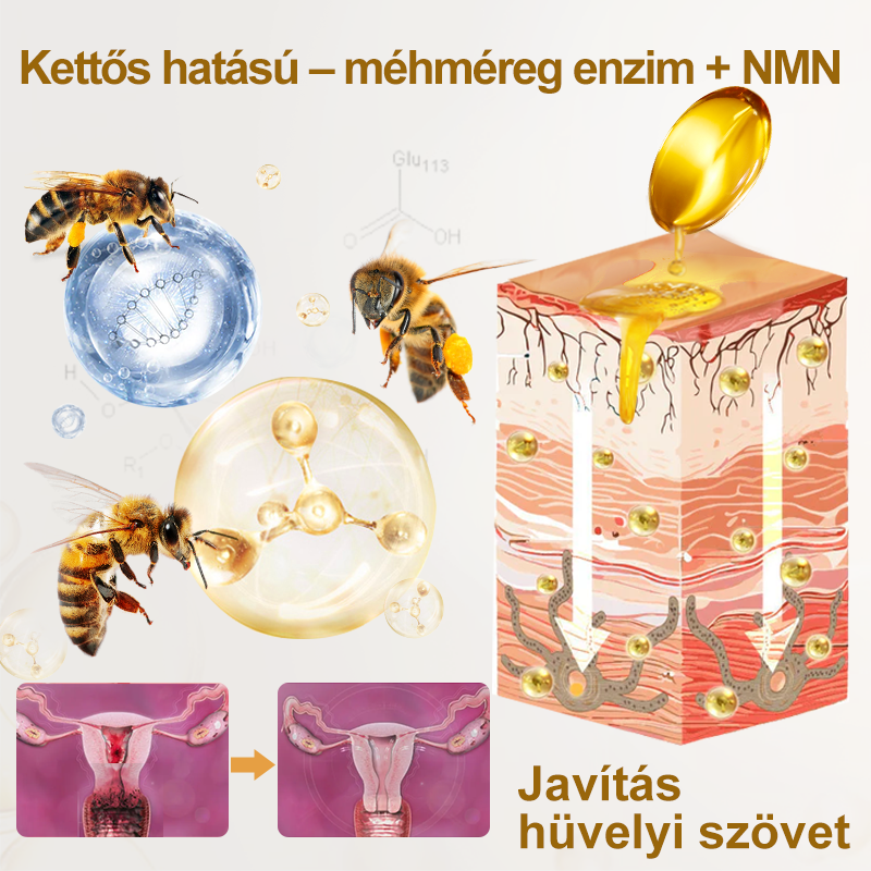 Lenreey® Méhméreg NMN Természetes Regeneráló Hüvelykapszulák💐 [Minden hüvelyi és hormonális problémára]