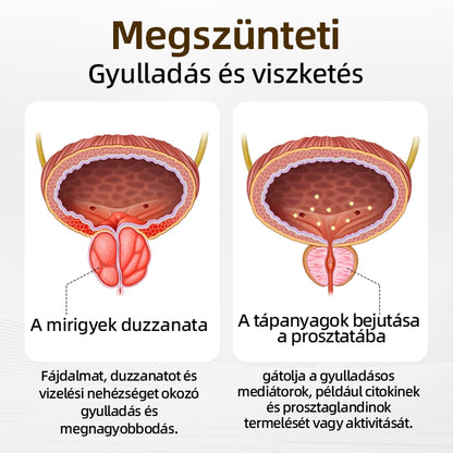 CZTICLE™ 💥💥 ProstaVibe Čebelji wellness inhalator (Obnovite svojo energijo in bodite pravi jaz).