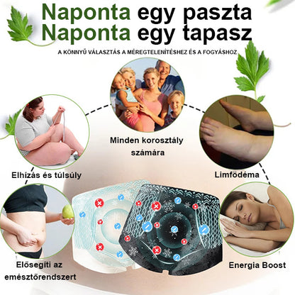 🔥Ingyenes az első 500 vásárlónak🔥Csak ma❄️CUSIJAS™👑Nano-Ion zsírégető Detox Icy Silk Shapewear🔥Utolsó 20 percben🔥80% kedvezmény