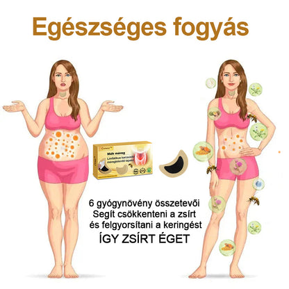 🌱[Hivatalos] ☘️cvreoz Bee🐝 Nyirokméreg Detox karcsúsító nyaktapasz (👩‍⚕️Minden nyirokproblémára, pajzsmirigyre és elhízásra)